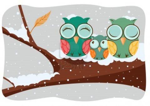 winter owl