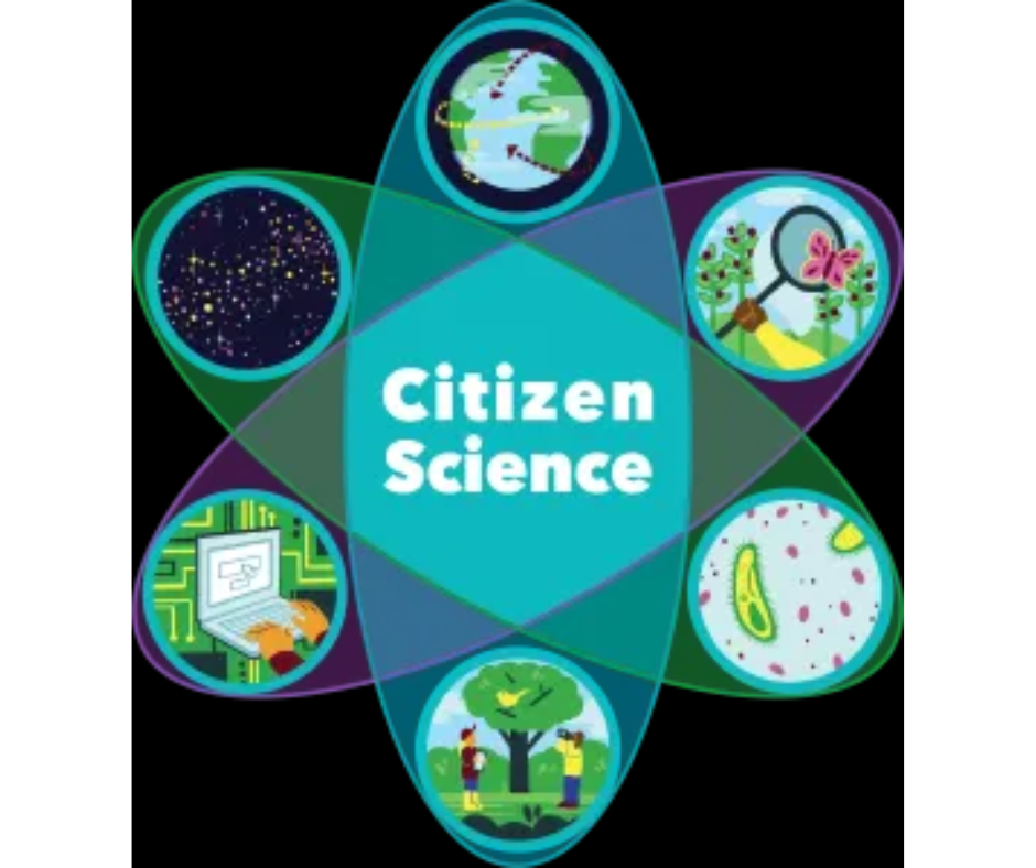 citizen science 