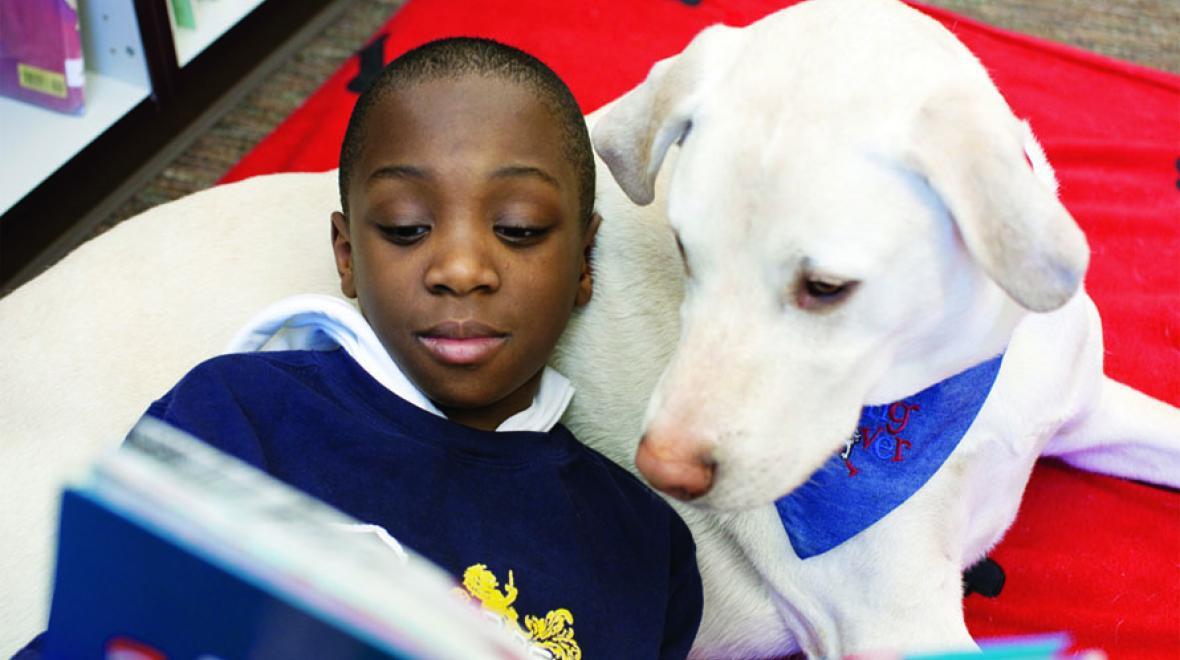 boy and dog reading