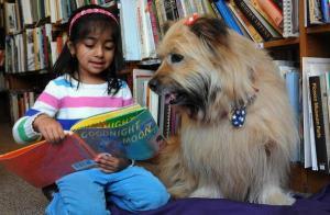 reading to dog