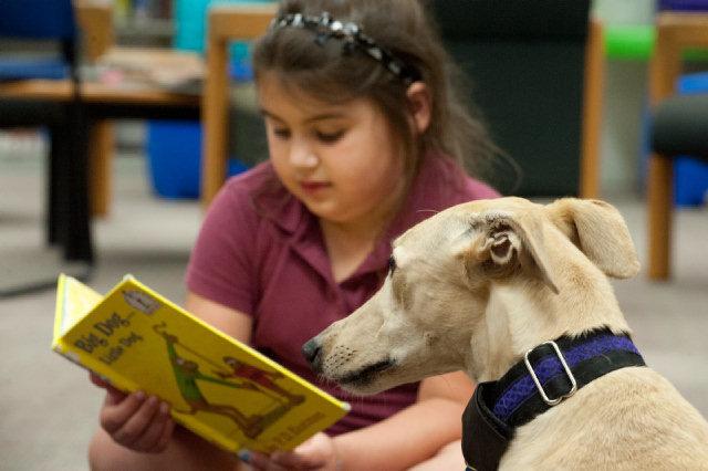 reading with dogs